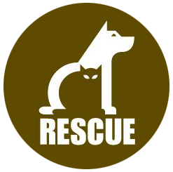Dog Adoption Central logo. Logo design by randy heil